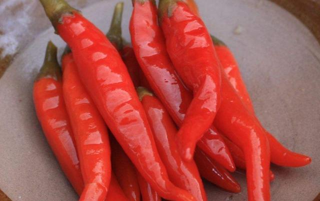 小米椒最好吃的5种做法，简单美味又馋人，看看你喜欢吃哪种