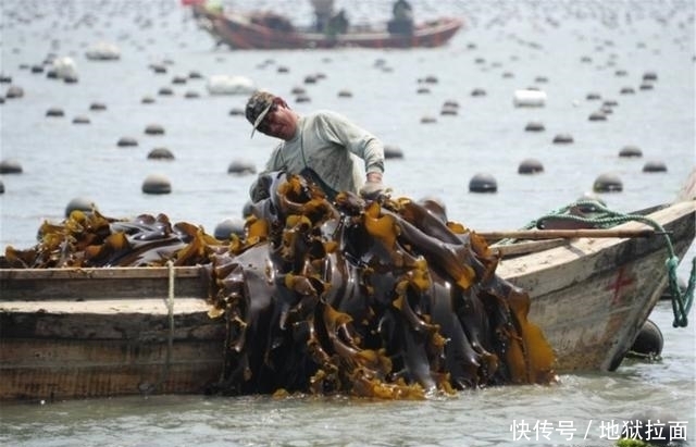 血栓|三高的“敌人”找到了,清血栓,强心脏,可惜很多人却当废物扔掉