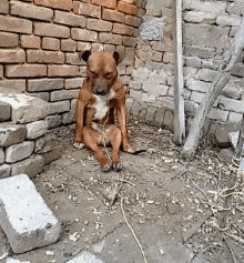 |搞笑GIF:高手往往都败在意想不到