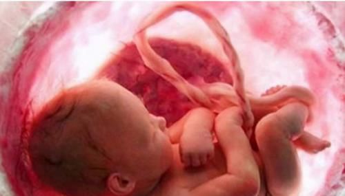 怀孕后，胎儿的这3种表现是在保护妈妈，看完后感觉很暖心