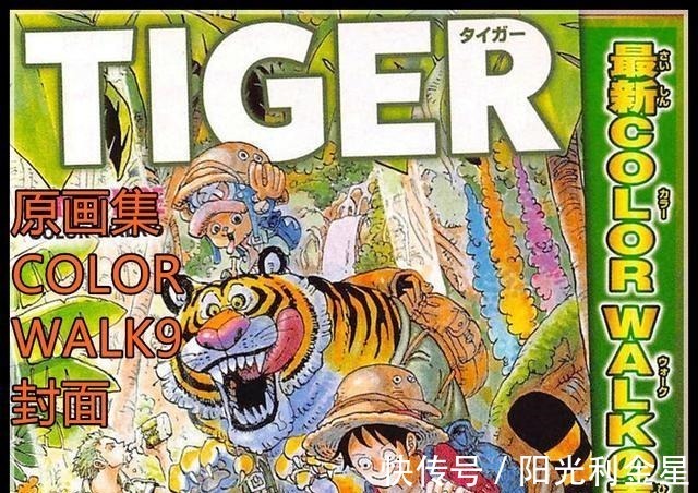 漫画|海贼王988话情报漫画合刊看不到,另外SBS和原画集全部延期