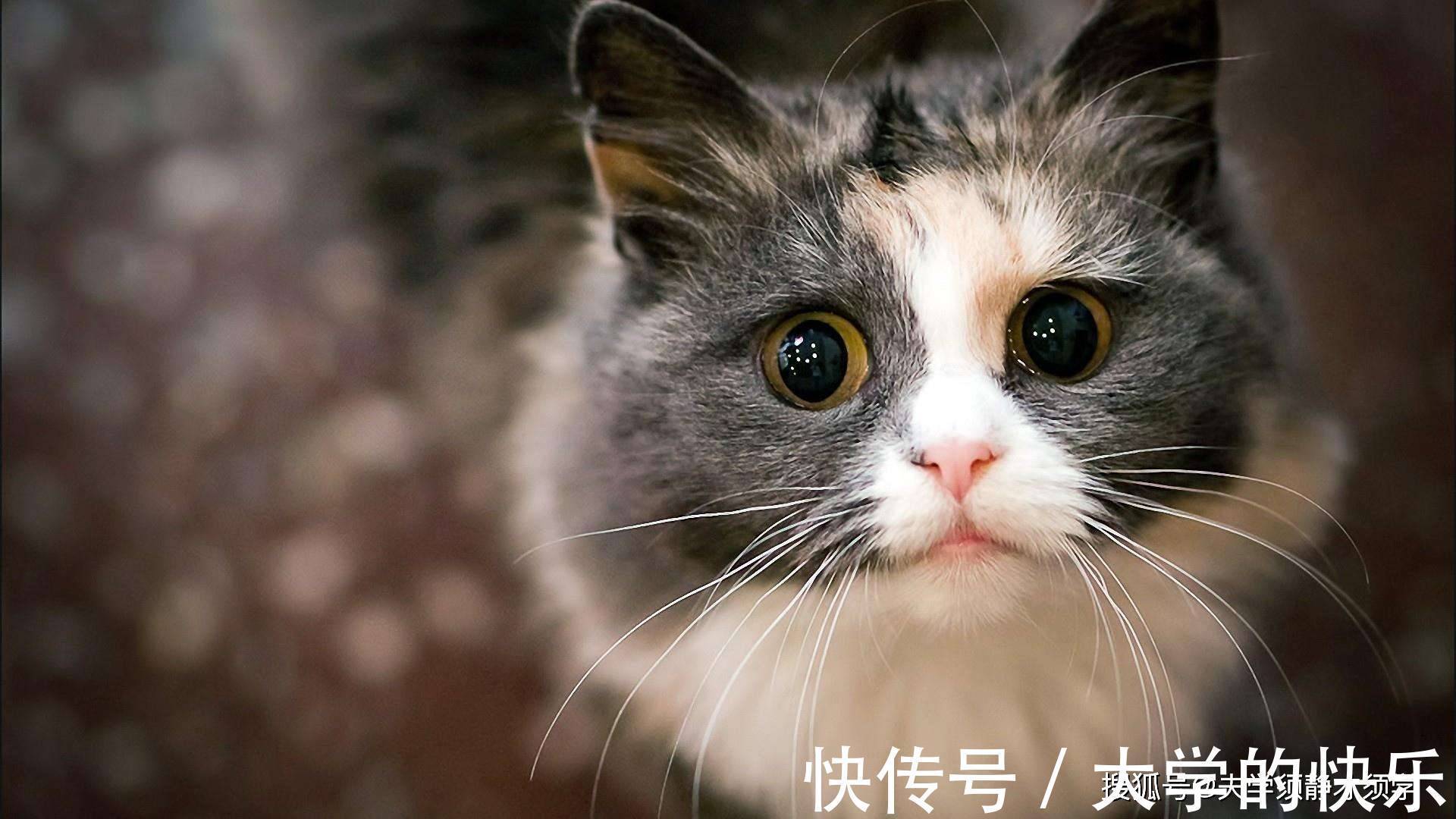 |内涵段子:昨晚和老公大吵一顿,老公笑道:看你气得脸上还挂着泪水!