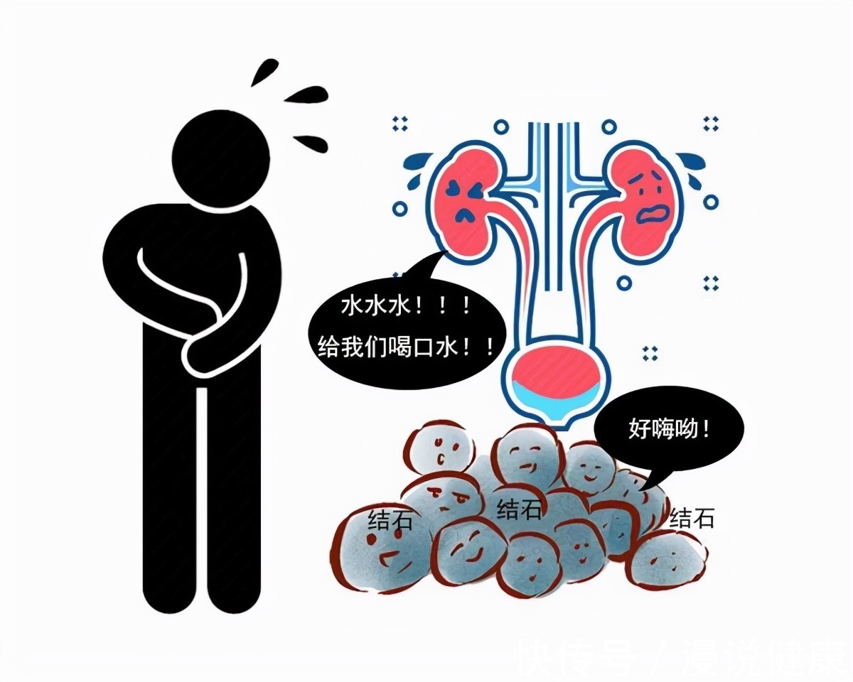 膀胱壁|憋尿一时爽,后果却很惨?知道憋尿有哪些后果,或许你再也不憋了