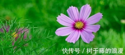 父母|孩子出生在几点钟,孝心十足,日后必定是有用之才,光宗耀祖