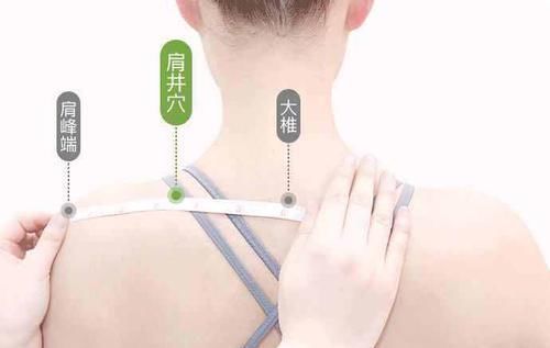 阳陵泉|疑病多郁！久治不愈？谨记这条经络上“五朵金花”！疾病无处可藏