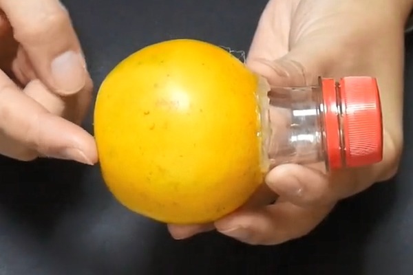 在橙子上粘1个塑料瓶口,解决了家家户户的烦恼,学会受用一生!