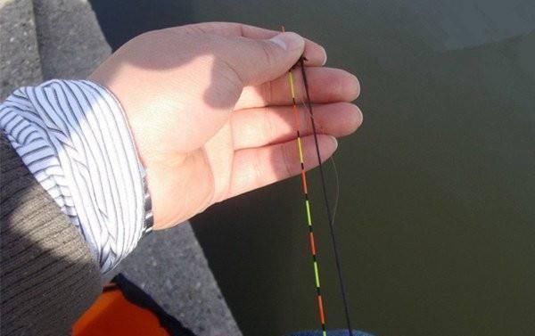 思路|漂尾细看不清加粗尾又不灵敏换个思路,用扁尾浮漂破解困扰