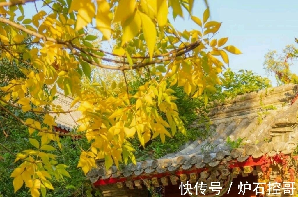 词人$诗词丨宋词的秋,惊艳四季:澄江似练,翠峰如簇,归帆去棹残阳里