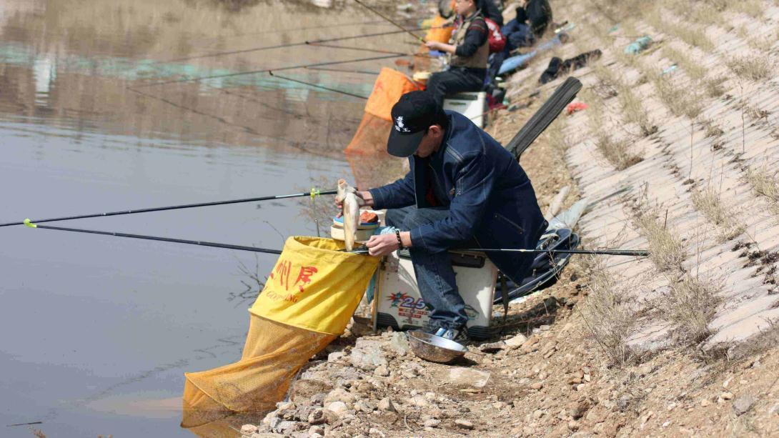 老钓手钓鲫鱼的“偏方”,亲自试了下,差点没把一条河的鲫鱼钓光