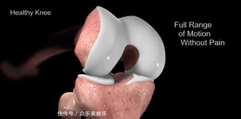 保养|膝盖不如铁,且行且珍惜!如何保养膝关节,医生好好给您支几招儿