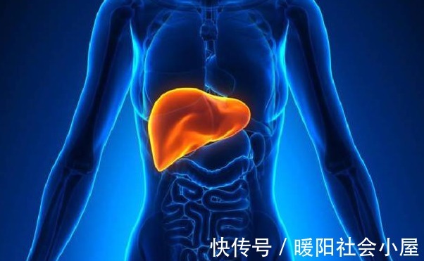 肝细胞|身上这种“小红点”或在代表肝脏出大问题了，别再拖，快去做肝CT