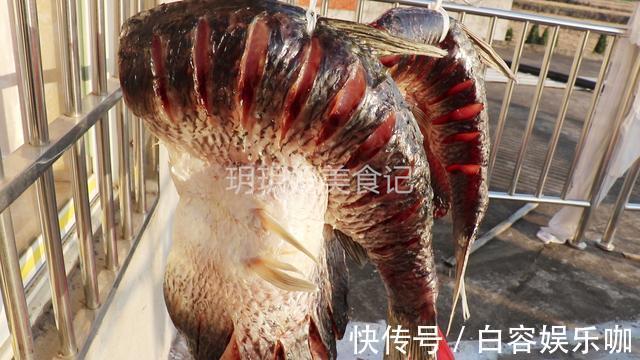 鱼肉|教你正宗腌腊鱼的方法，配料简单味道足，保存时间越长吃起来越香