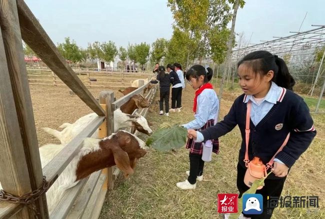 新闻记者&弘扬传承优秀文化 体验亲近美好自然——泰山大安小学积极开展学生劳动实践教育