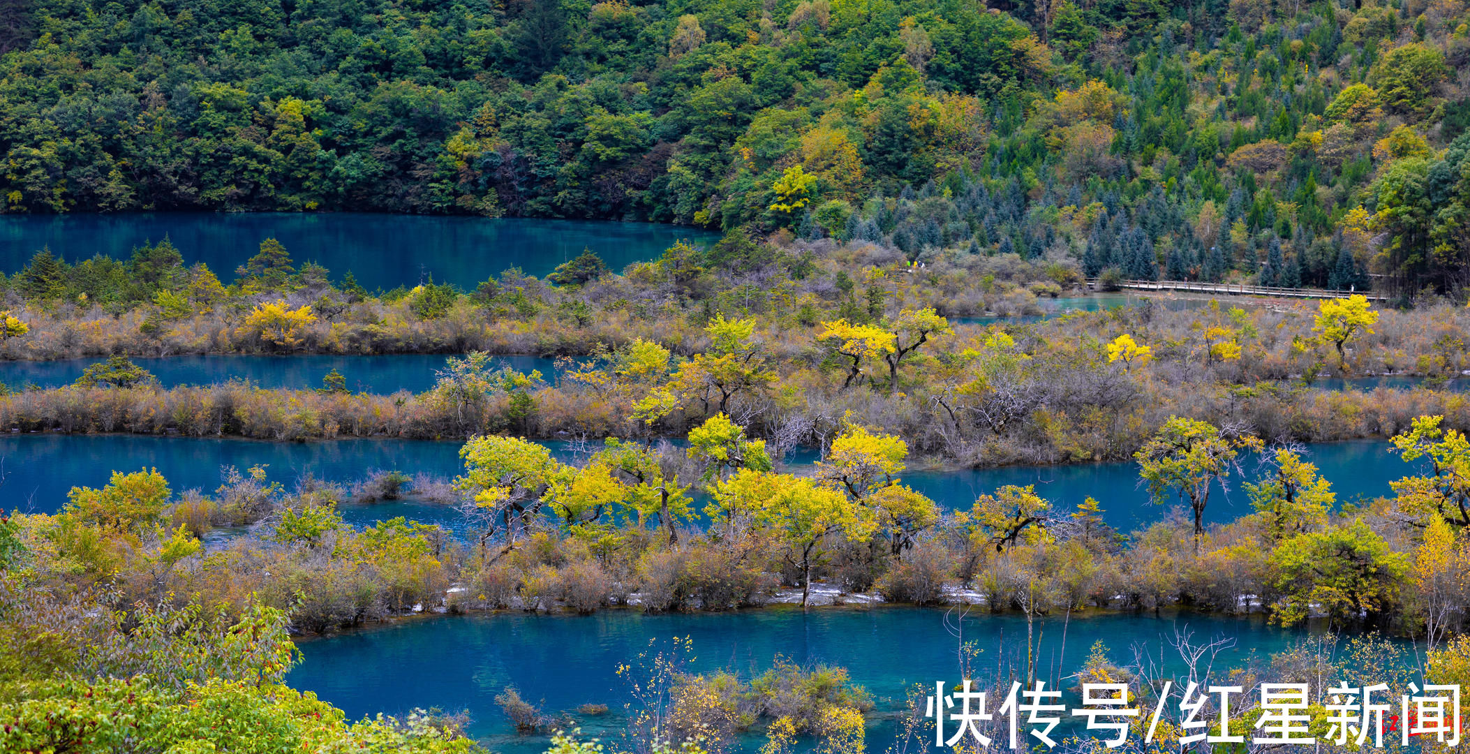 九寨沟|四川九寨沟景区即将全域开放！提前打探新开放景点