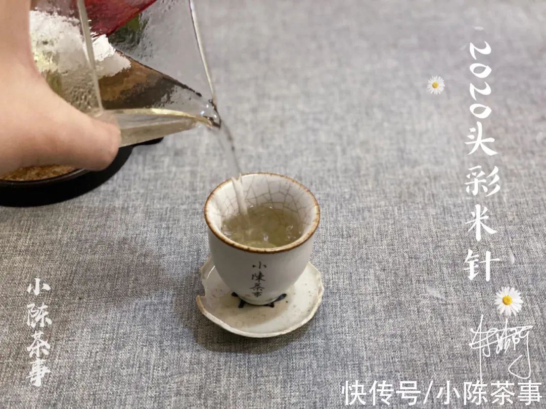 叶底香|毫香、花香、竹叶香,这些香气怎么没在白毫银针开箱的时候闻到?