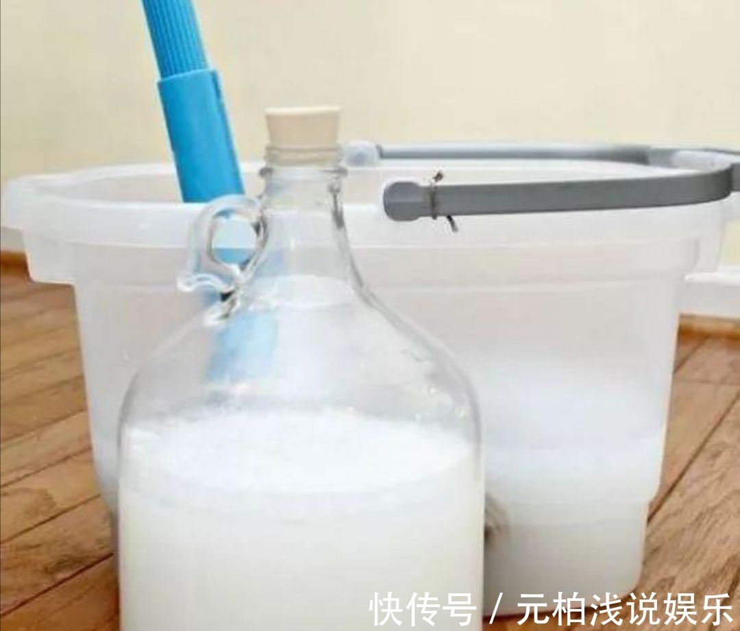 花盆里出现小虫子，不用买杀虫剂，往里面扔点“小东西”就管用