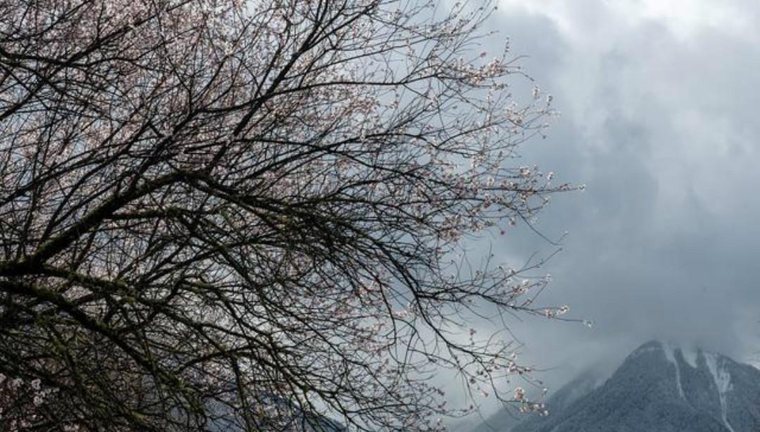 上片!辛弃疾一首高水平之作,通篇美得令人惊艳,值得我们一读再读!