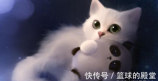 |开心段子:男朋友谈了两年多了,感情一直算稳定