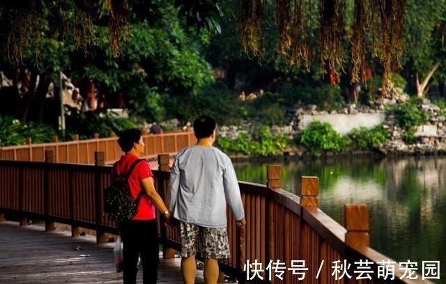 脑部|经常散步对身体好?医生认为:年过50,常做3件事或比散步还要好