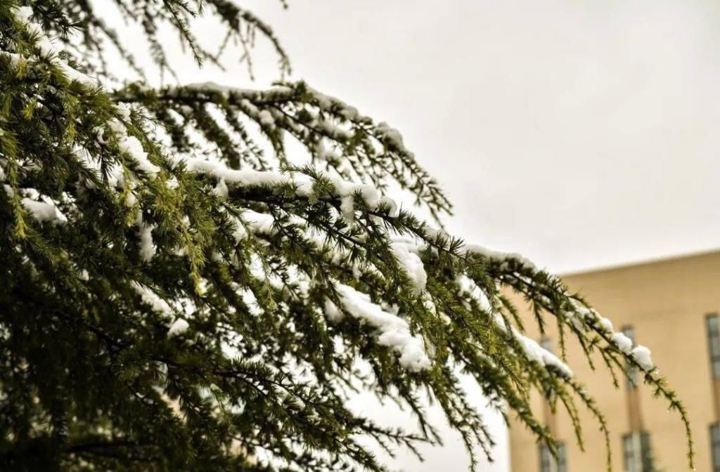 春观百花冬观雪醒亦念