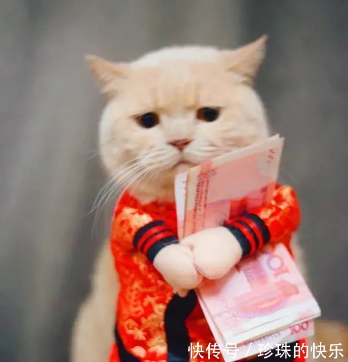 拜年|必存!新年拜年表情包丨第310期热门表情包