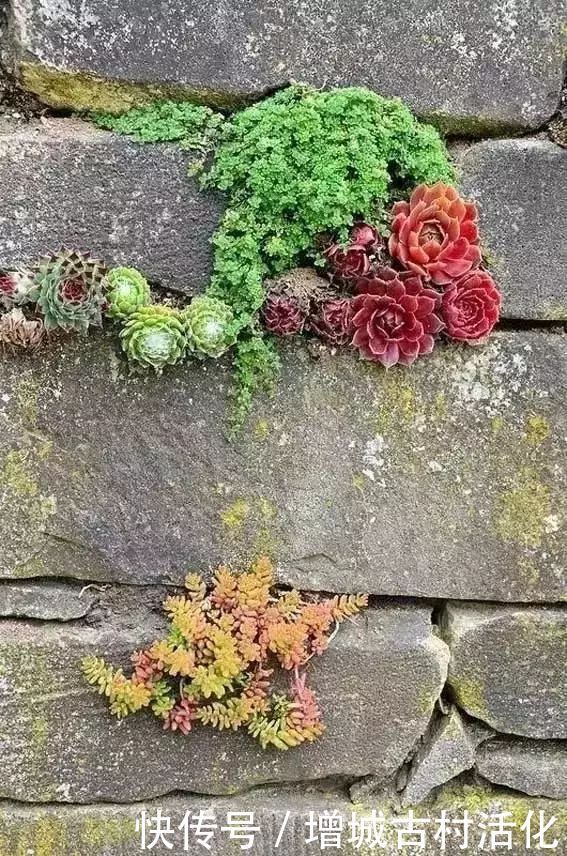 院落|一面石头墙,惊艳整个乡村院落