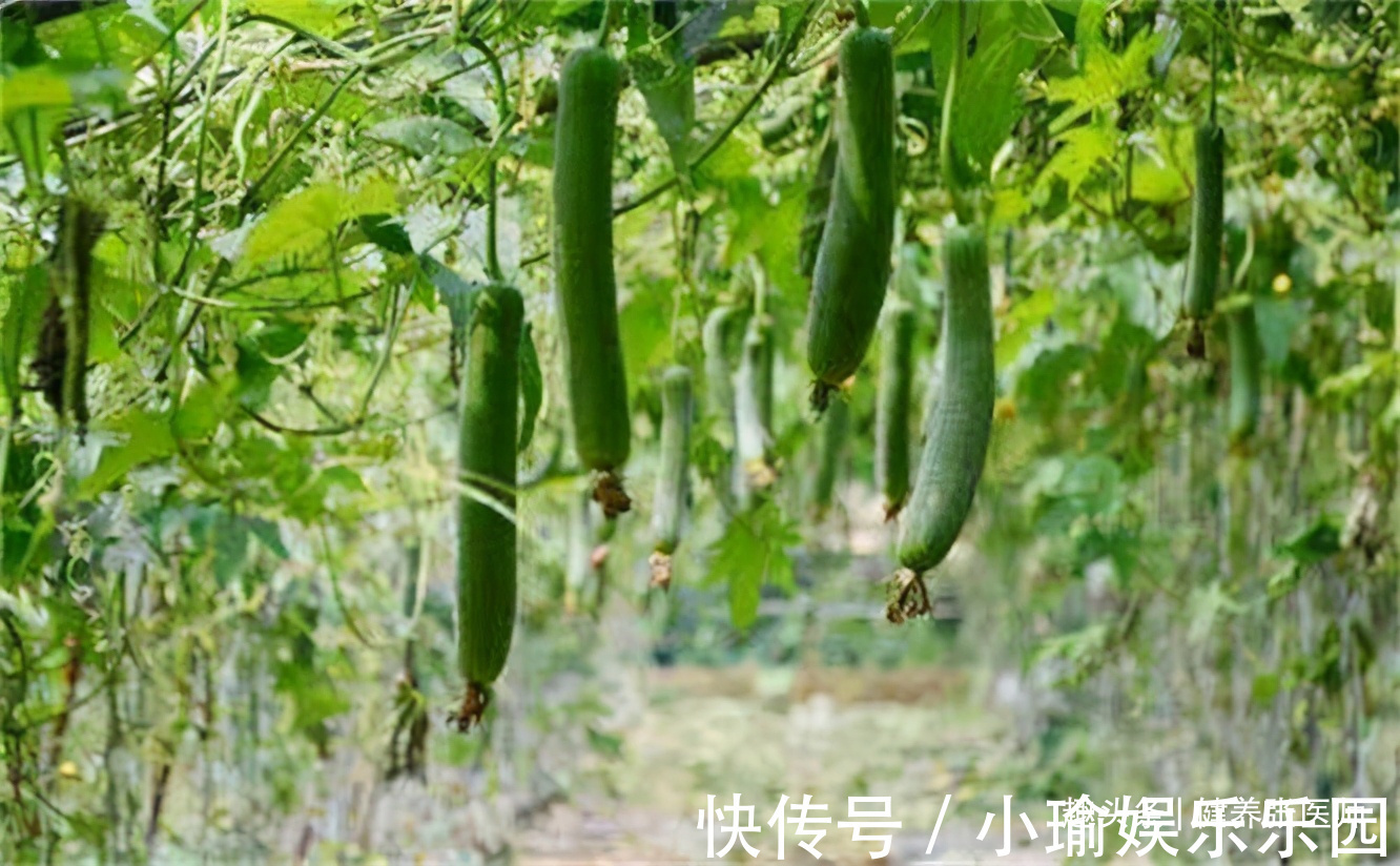 张医师|春季来了,女性多吃3种食物,补充营养,呵护肌肤,显年轻!