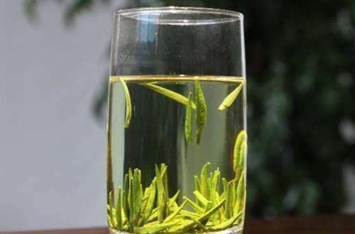 血管堵塞|血栓的“特效药”找到了,每天吃一点,净化血管,血栓或不见了