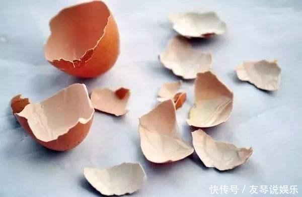 这2种花“开花”积极,盆里加上养花料,生长快速,开花爆盆