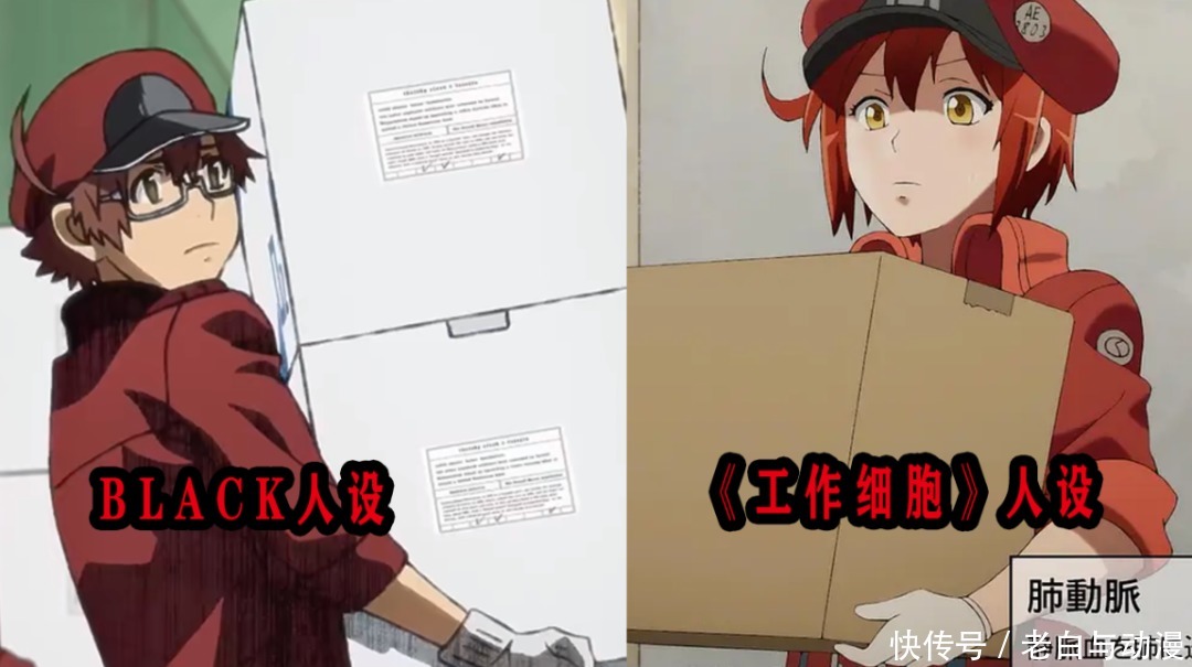 白血球|什么性别的白血球让人喜欢?看下他们的战斗,答案有了!