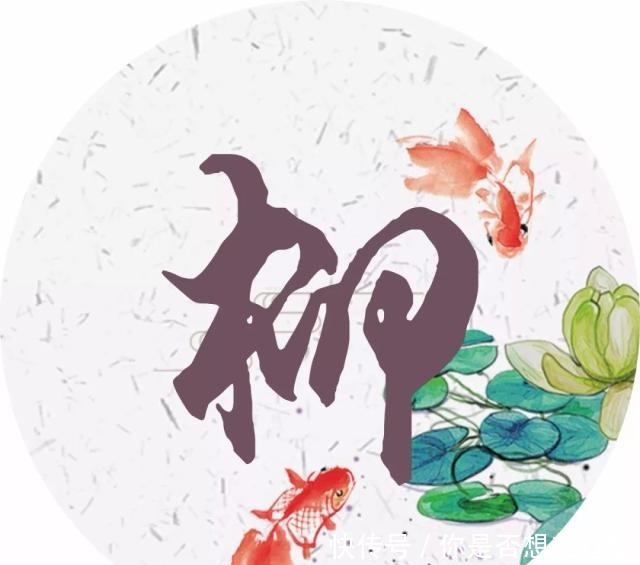 每个姓氏的背后都有一句诗词,你属于哪一句读给孩子听!