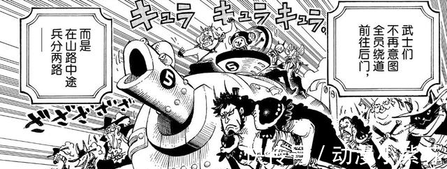 乔巴|海贼王981话:尾田公然开车,连兔子都不放过,娜美罕见正经一回