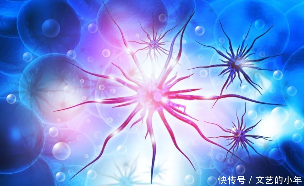 癌症|癌症早期发现是关键,这样做帮您查出身体中隐藏的“地雷”基因
