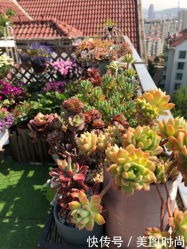 阳台|DIY改造17㎡屋顶花园，忙得不亦乐乎，在喧嚣城市打造一隅静谧