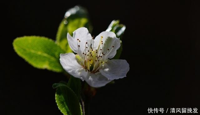 得罪|简简单单两句话,让你少得罪多少人!(深度好文)