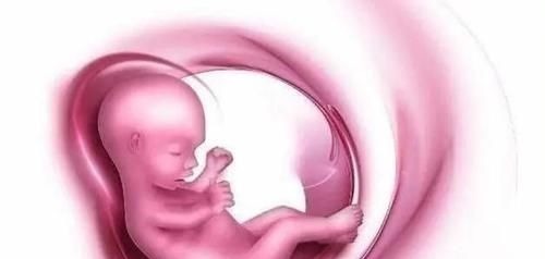 受精卵|怀孕1~10个月,胎儿发育变化全过程!想“修炼成人”还得过四关