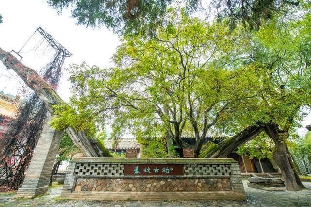 南郭寺|甘肃藏了座千年古寺，被誉为陇右第一名刹，杜甫在此作诗100多首