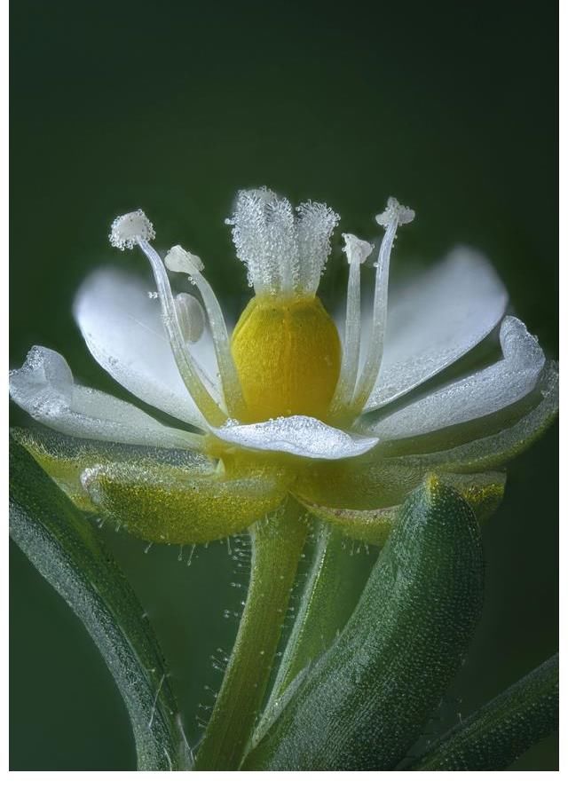 暗恋|“不爱表现”的星座：喜欢藏在心里，暗恋却不会表达