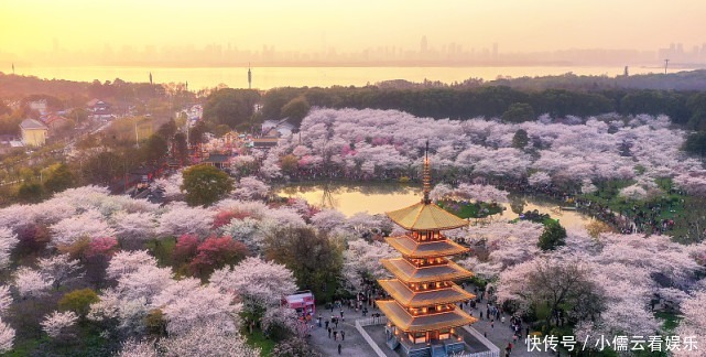 大唐|阳春三月,春回大地,三月赏花好去处