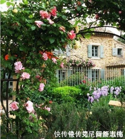 a2063|老公闲来无事就“折腾”庭院,不夸,真叫个诗情画意