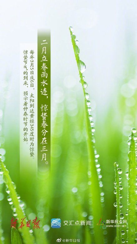  今日，惊蛰 ！春雷一响，万物复苏！