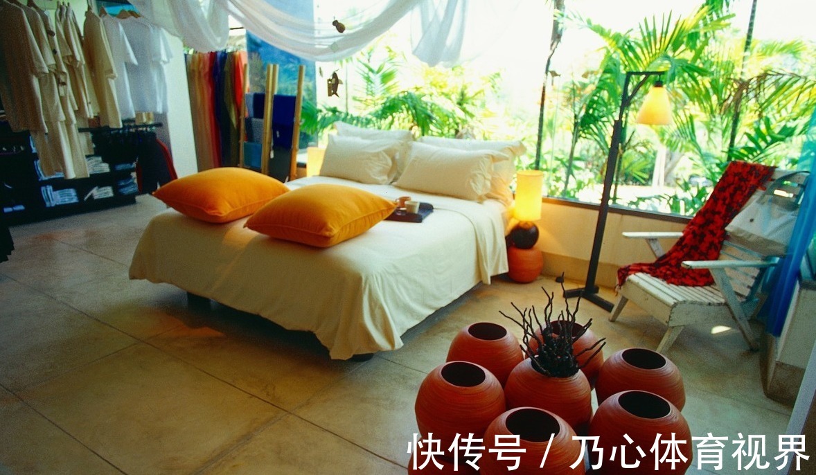 室内养花不能只顾欣赏价值,这些养花禁忌你得记下来