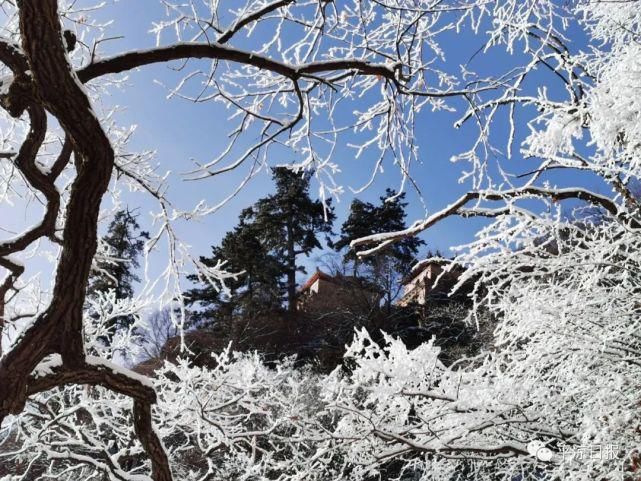 新鲜出炉！崆峒山雪景美爆了~