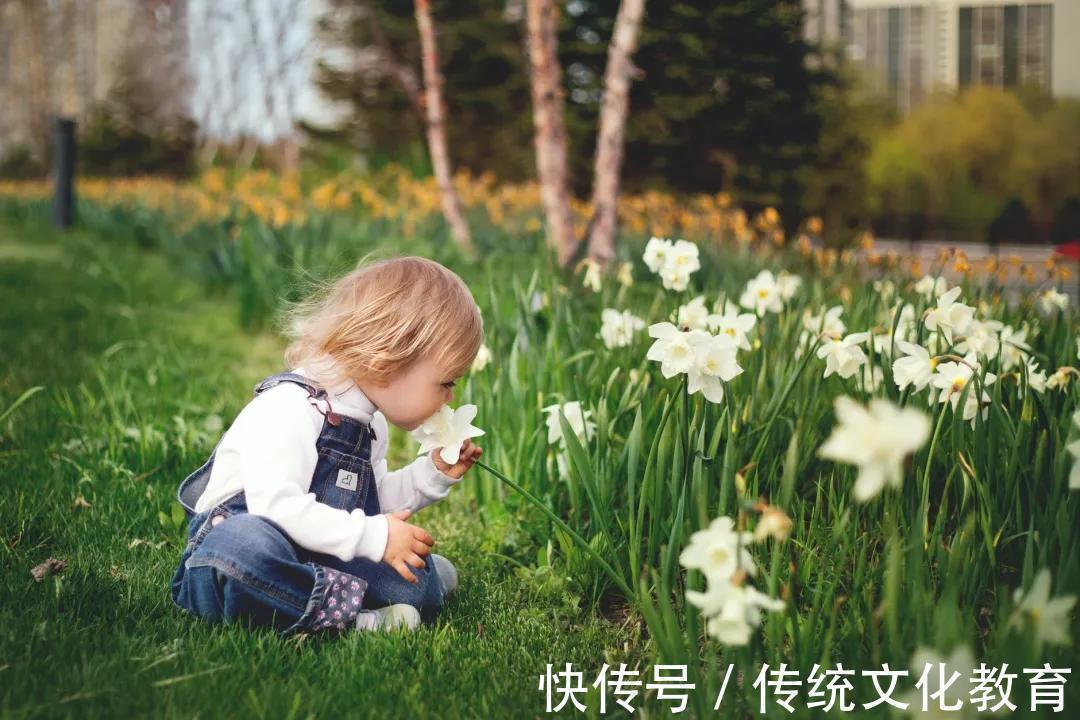 艾恩斯|李玫瑾:6岁前对孩子说不,12岁前要视心理抚养