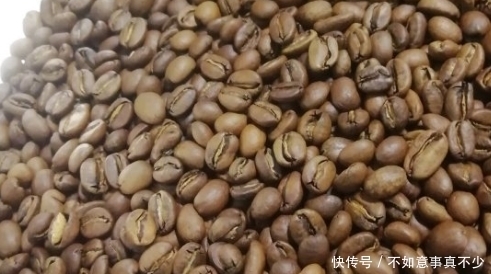 过期咖啡豆当肥料