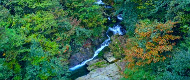 鹤峰县|5.19中国旅游日又?叒叕到啦！看看鹤峰的成绩单如何……