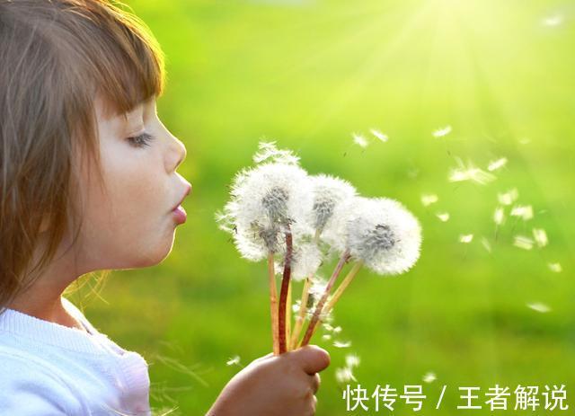 蒲公英水|浙江一女子，每天坚持喝蒲公英水，一段时间后有效果吗？