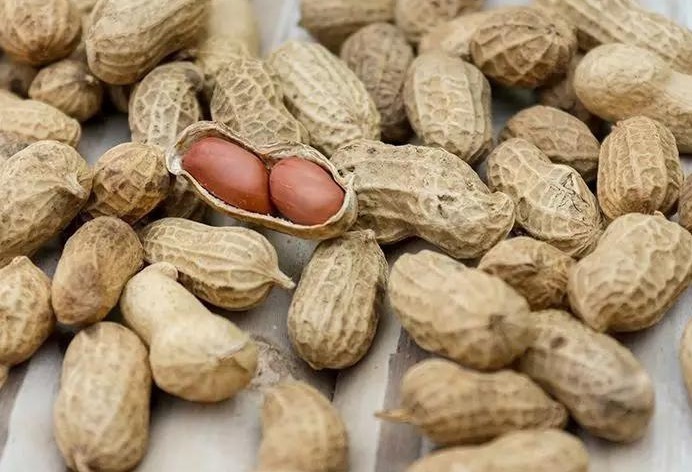 阿司匹林|花生与“此物”同食,远胜“阿司匹林”,坚持吃,远离高血压