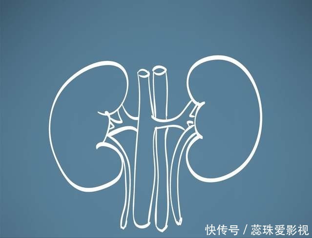 诱发|喝茶到底是保护肾脏,还是诱发肾结石?今天说出准确答案