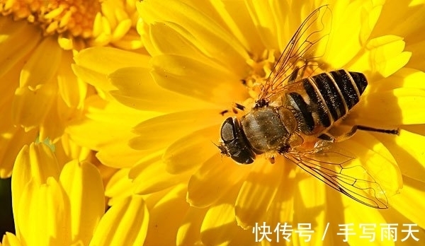 绝句!落选《唐诗三百首》最著名的20首诗,清明、赠汪伦、鸟鸣涧在其中